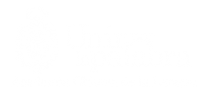 Academia Chilena de la Lengua